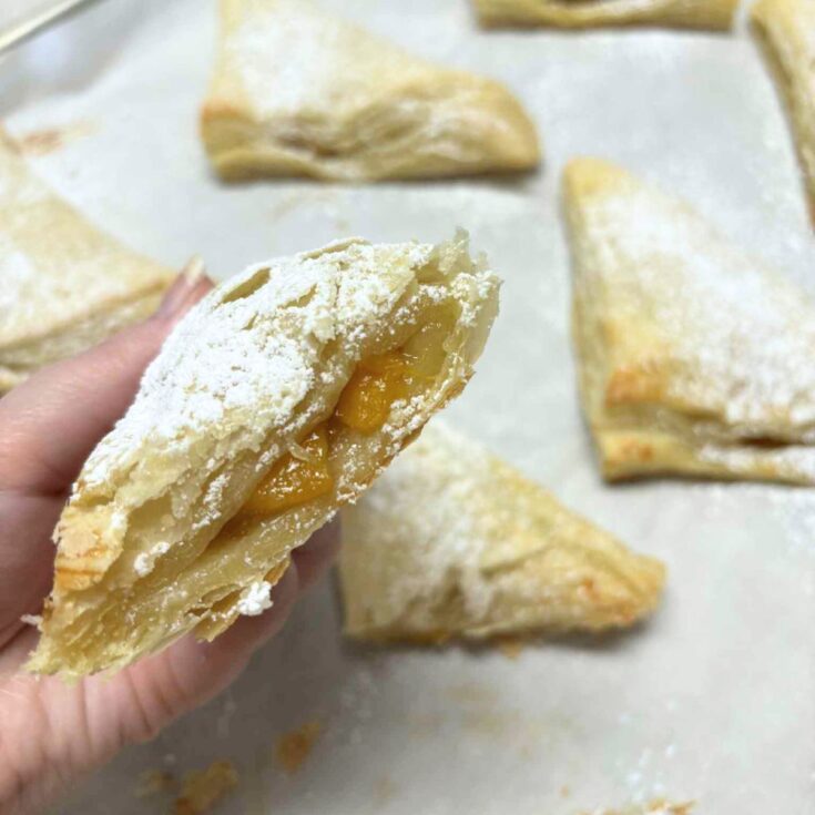Pie Turnovers