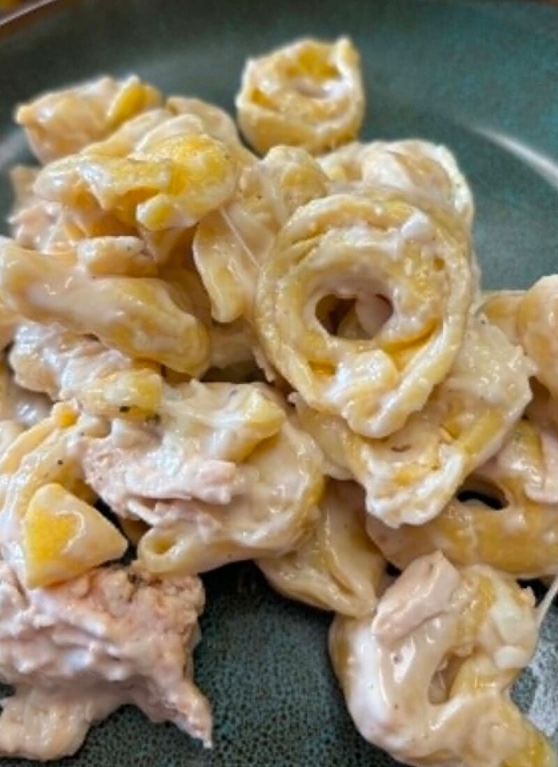 Easy Tortellini Chicken Alfredo Casserole